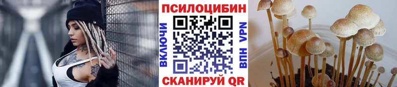 Галлюциногенные грибы GOLDEN TEACHER  Жуковский 