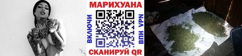 где найти наркотики  omg   Бошки Шишки конопля  Жуковский 